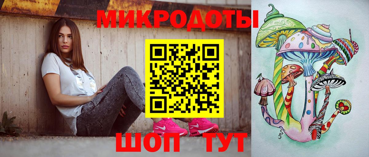 Гусев  Псилоцибиновые грибы мухоморы  Вход с VPN  Галлюциногенные грибы Psilocybe 