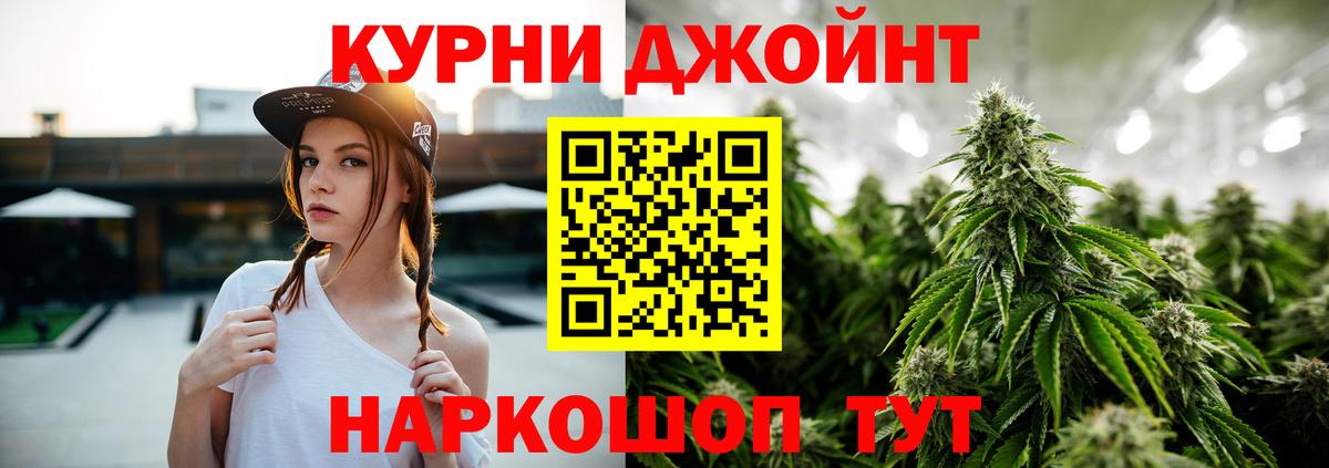 Канабис планчик Гусев